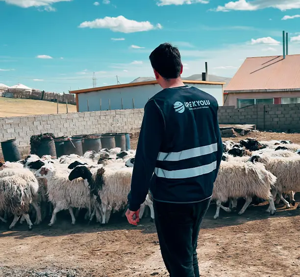Altyn Uya Kamu Vakfı Kırgızistan kurban bağışı ve ihtiyaç sahiplerine pay dağıtımı