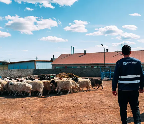 Altyn Uya Kamu Vakfı Kırgızistan kurban bağışı ve ihtiyaç sahiplerine pay dağıtımı