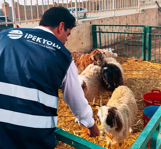 Altyn Uya Kamu Vakfı Kırgızistan kurban bağışı ve ihtiyaç sahiplerine pay dağıtımı